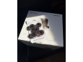 segway-navimow-x-small-2