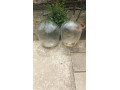 50l-demizony-small-0