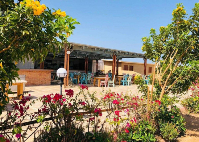 7-dnovy-jedinecny-retreat-v-egypte-big-2