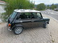 rover-mini-rover-mini-small-1