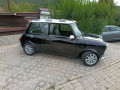 rover-mini-rover-mini-small-2