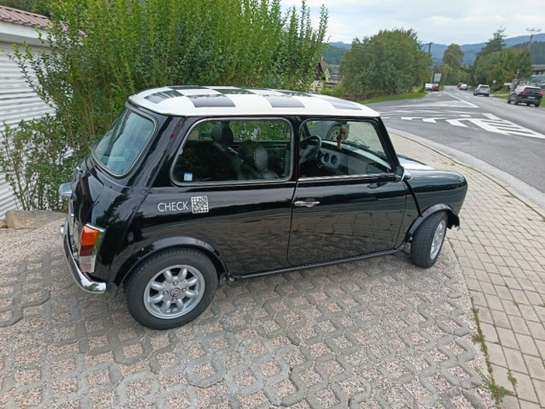 rover-mini-rover-mini-big-1