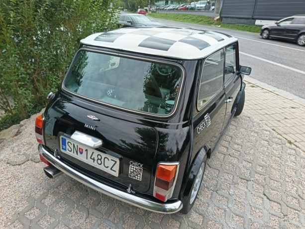 rover-mini-rover-mini-big-0