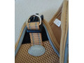 postroj-pre-psika-joytale-small-4