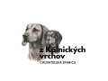 tatransky-duric-small-1
