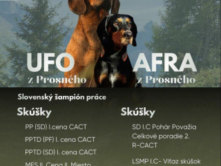 tatransky-duric