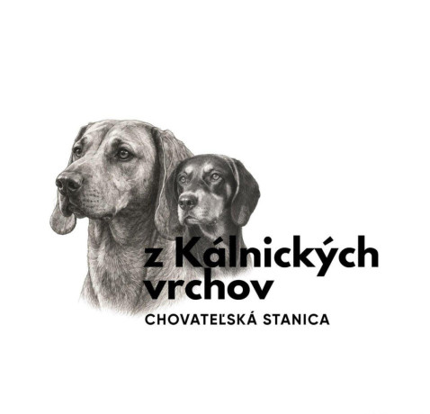 tatransky-duric-big-1