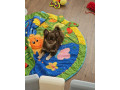 krasny-coko-psik-s-pp-small-3