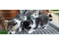 maciatka-tajov-rotovo-small-2