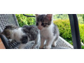 maciatka-tajov-rotovo-small-0