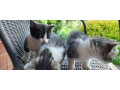 maciatka-tajov-rotovo-small-4