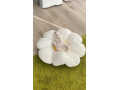 ponukame-kocurikov-plemena-khao-manee-small-0