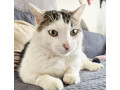 co-s-tymto-plysakom-small-2