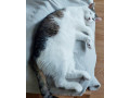co-s-tymto-plysakom-small-1
