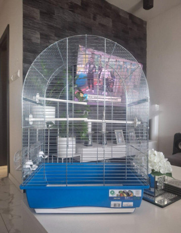 klietka-big-0