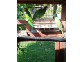 predam-small-1