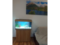 predam-akvarium-juwel-rio-125l-small-3