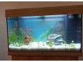 predam-akvarium-juwel-rio-125l-small-1