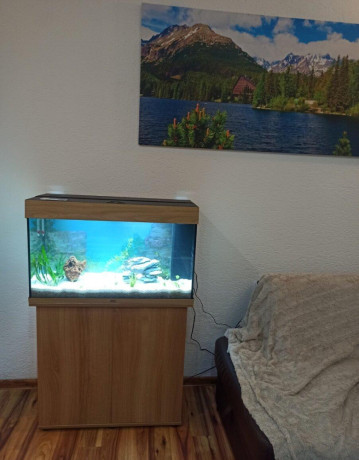 predam-akvarium-juwel-rio-125l-big-3