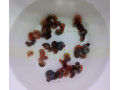 kotulky-mix-small-0