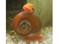 kotulky-small-1