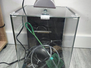 akvarium-dennerle-20-litrov-komplet-prislusenstvo