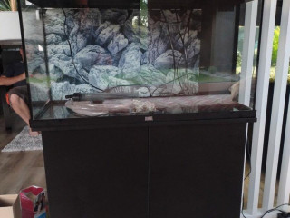 akvarium