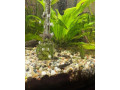 predam-prisavniky-small-0