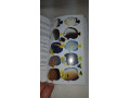 kniha-ryby-koralovych-utesu-small-1