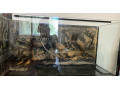 akvarium-200-l-3d-pozadie-1-cm-sklo-100-x-50-x-40-small-0