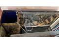 akvarium-200-l-3d-pozadie-1-cm-sklo-100-x-50-x-40-small-1