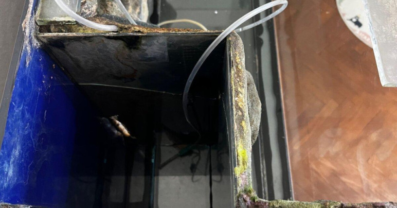akvarium-200-l-3d-pozadie-1-cm-sklo-100-x-50-x-40-big-3
