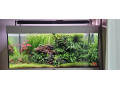 akvariovy-set-juwel-rio-180-small-3