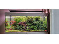 akvariovy-set-juwel-rio-180-small-0
