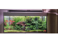 akvariovy-set-juwel-rio-180-small-1