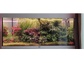 akvariovy-set-juwel-rio-180-small-4