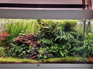 akvariovy-set-juwel-rio-180