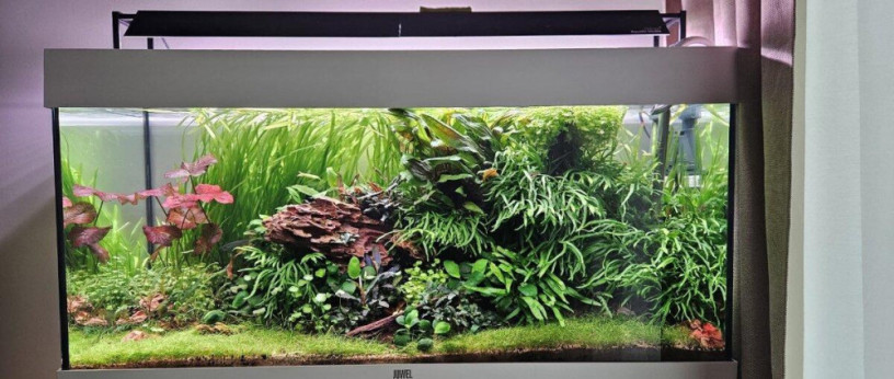 akvariovy-set-juwel-rio-180-big-3