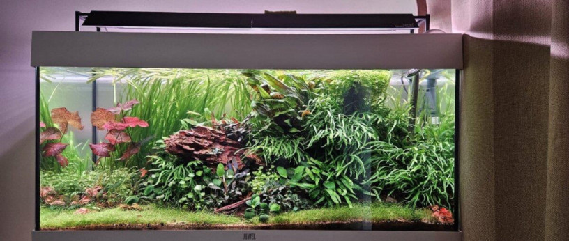 akvariovy-set-juwel-rio-180-big-1