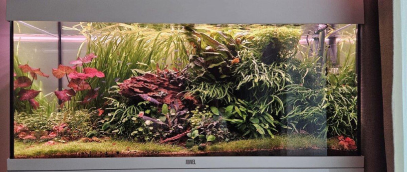 akvariovy-set-juwel-rio-180-big-4