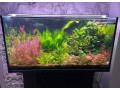 predam-akvarium-small-0