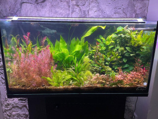 predam-akvarium