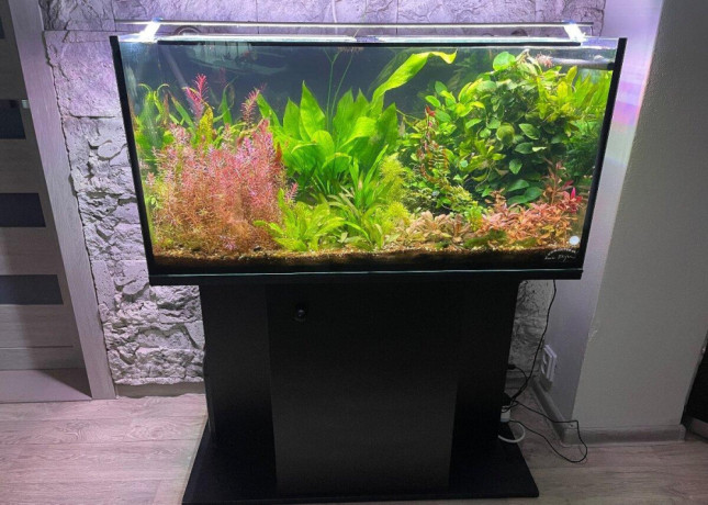 predam-akvarium-big-1