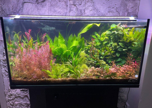 predam-akvarium-big-0