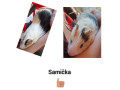 morca-small-1