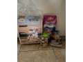predam-skrecka-roborovskeho-small-4