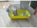 klietka-pre-skreckazlta-small-0