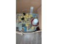 p-bresse-gauloisse-biela-small-0