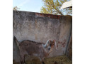 predam-kozicku-small-0
