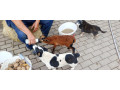 kameronsky-baran-small-2